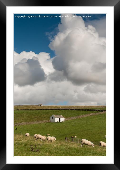 Big Sky and Bowlees Barns Framed Mounted Print by Richard Laidler