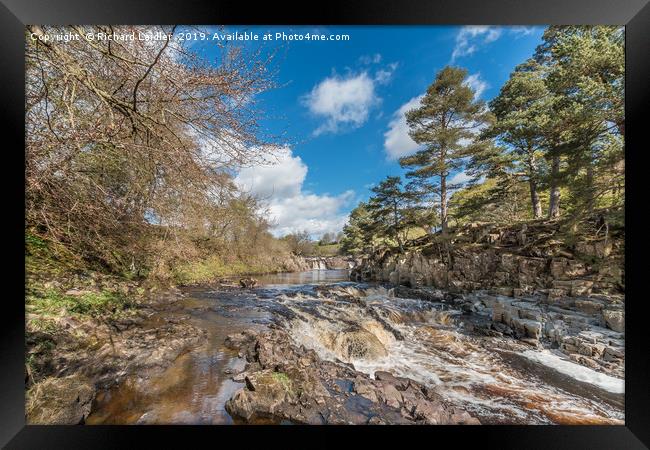 Low Force Waterfall, Upper Teesdale, in Spring Framed Print by Richard Laidler