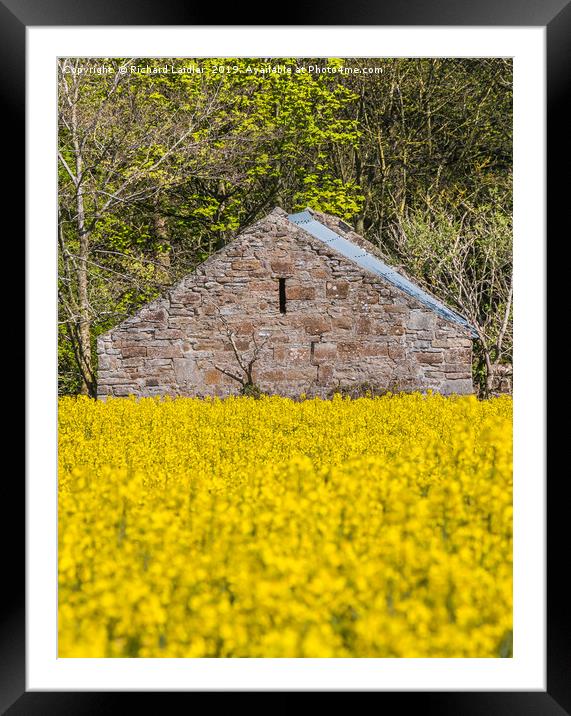Old Barn and Flowering Rape Framed Mounted Print by Richard Laidler
