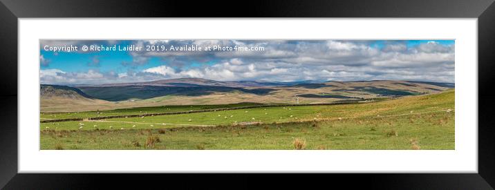 Upper Teesdale Panorama  Framed Mounted Print by Richard Laidler