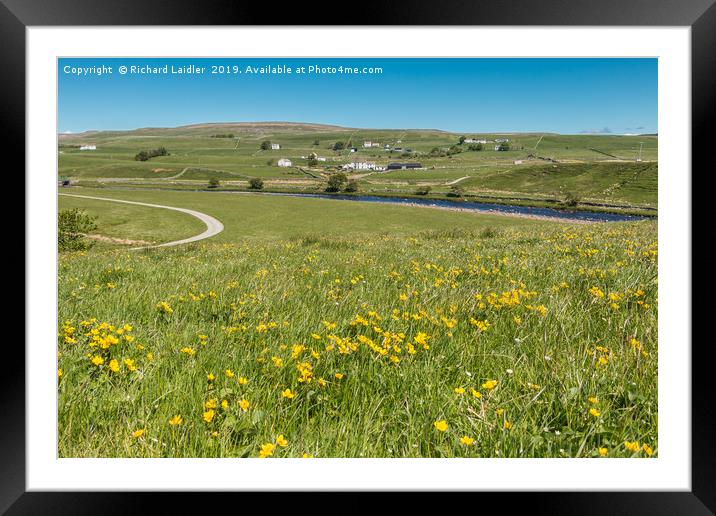 Spring Meadow at Cronkley, Upper Teesdale Framed Mounted Print by Richard Laidler