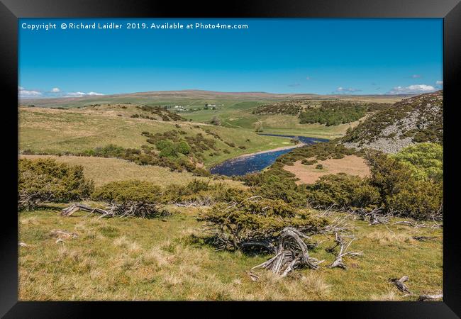 Forest in Teesdale from Bracken Rigg in Spring Framed Print by Richard Laidler