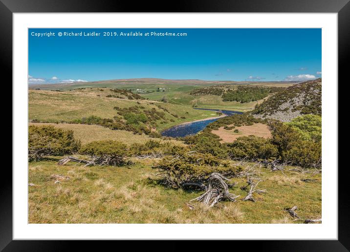 Forest in Teesdale from Bracken Rigg in Spring Framed Mounted Print by Richard Laidler