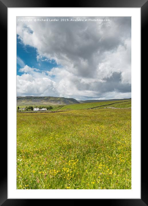 Hay Meadow in Flower at Langdon Beck, Teesdale (2) Framed Mounted Print by Richard Laidler