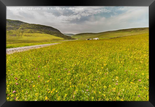 Hay Meadows at Widdybank Pasture, Teesdale Framed Print by Richard Laidler