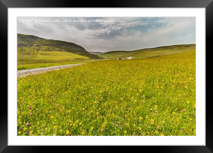 Hay Meadows at Widdybank Pasture, Teesdale Framed Mounted Print by Richard Laidler