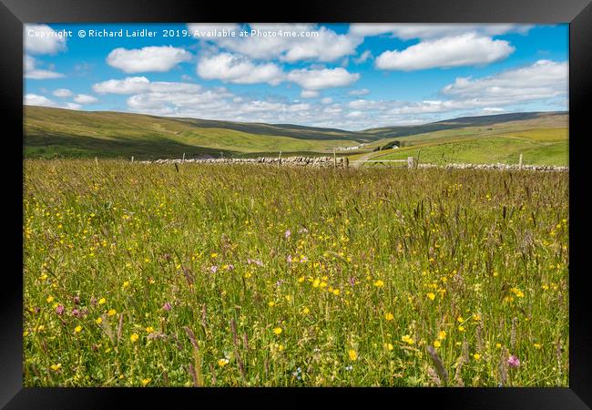 Hay Meadows at Lingy Hill Farm, Upper Teesdale Framed Print by Richard Laidler