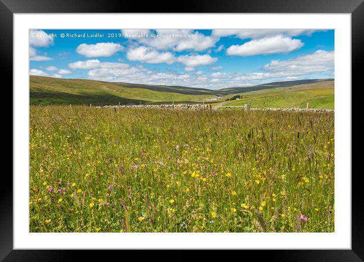 Hay Meadows at Lingy Hill Farm, Upper Teesdale Framed Mounted Print by Richard Laidler