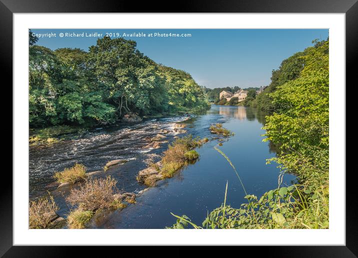 Summer on the River Tees at Barnard Castle Framed Mounted Print by Richard Laidler