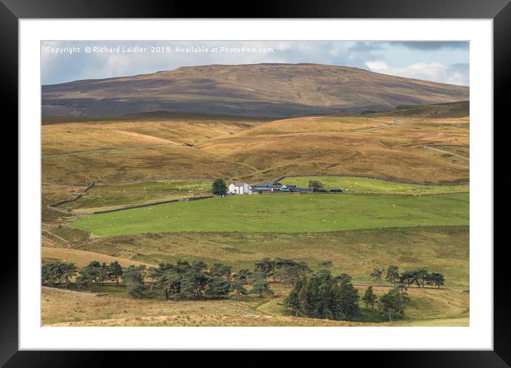 Peghorn Lodge farm & Meldon Hill, Upper Teesdale 1 Framed Mounted Print by Richard Laidler