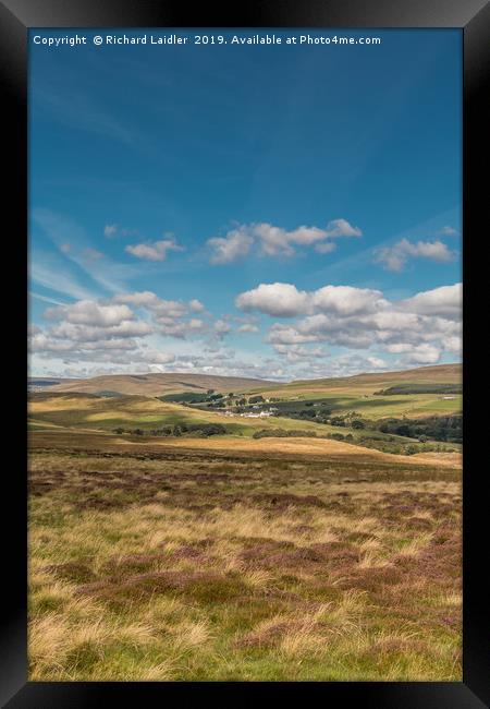 Forest in Teesdale from Holwick Fell 2 Framed Print by Richard Laidler