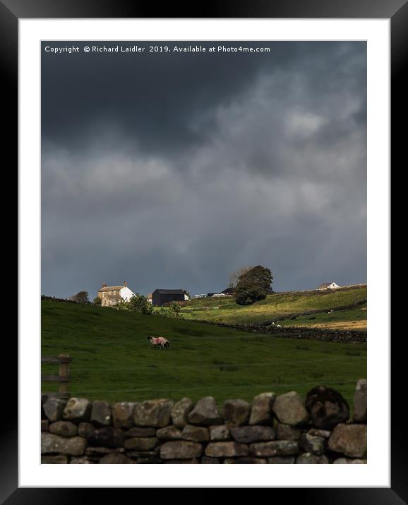 Sunlit Farm, Stormy Sky 2 Framed Mounted Print by Richard Laidler