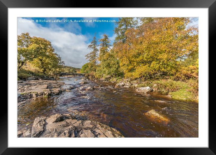 Autumn on the River Tees at Forest in Teesdale Framed Mounted Print by Richard Laidler
