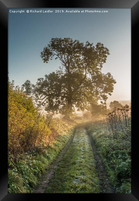 The First Frost of Autumn Framed Print by Richard Laidler