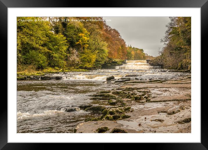 Autumn at Aysgarth Lower Falls, Yorkshire Dales Framed Mounted Print by Richard Laidler