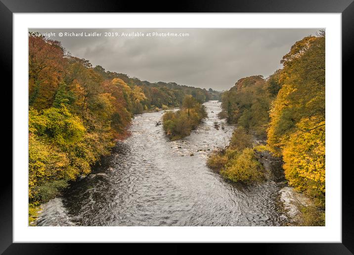 Autumn on the River Tees at Winston 1 Framed Mounted Print by Richard Laidler