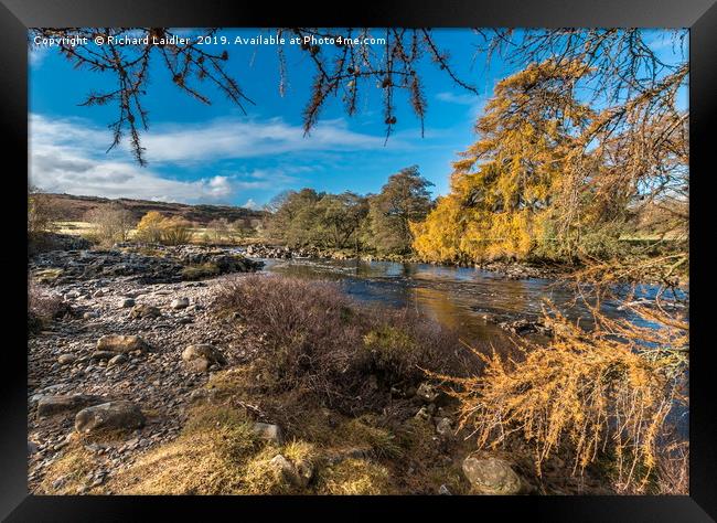 Autumn on the River Tees in Upper Teesdale Framed Print by Richard Laidler