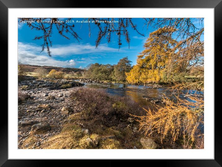 Autumn on the River Tees in Upper Teesdale Framed Mounted Print by Richard Laidler