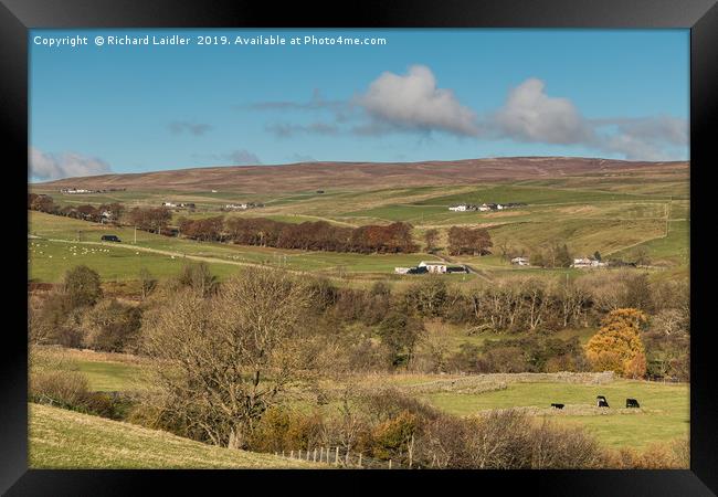 Upper Teesdale in Autumn, Over To Ettersgill  Framed Print by Richard Laidler
