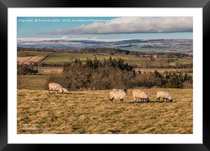 Wintry Teesdale from Barningham Moor Framed Mounted Print by Richard Laidler