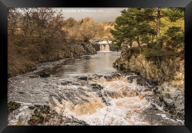 Winter Sun on Low Force Waterfall Teesdale (2) Framed Print by Richard Laidler