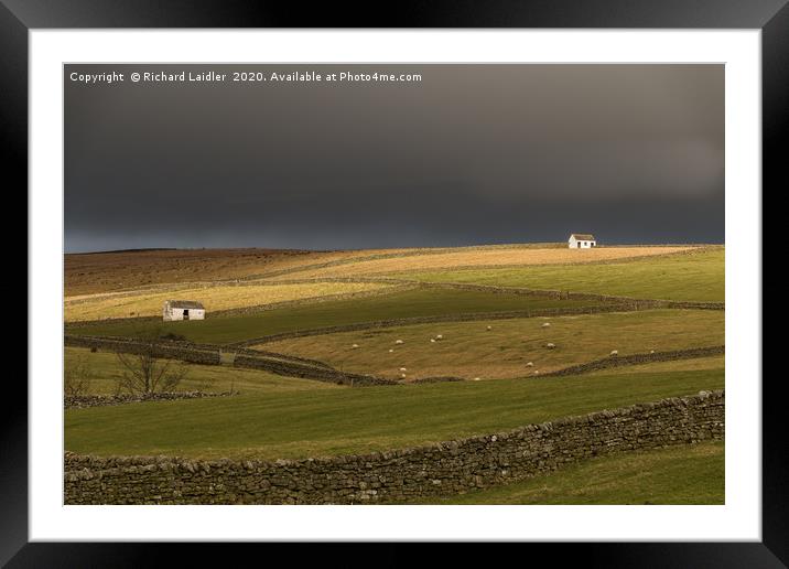 Winter Sun on Bowlees Barns, Teesdale Framed Mounted Print by Richard Laidler