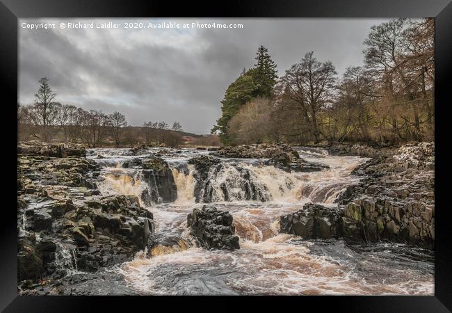 Salmon Leap Falls, River Tees, in Wintry Sun Framed Print by Richard Laidler