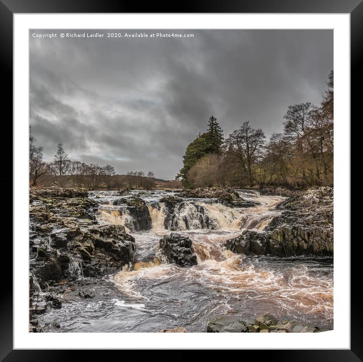 Salmon Leap Falls, Teesdale, in Wintry Sun Framed Mounted Print by Richard Laidler