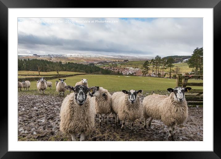From Snaisgill to a Snowy Harter Fell, Teesdale Framed Mounted Print by Richard Laidler