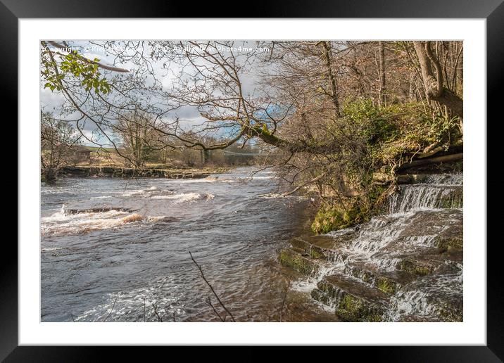 Wholton Beck meets the River Tees Framed Mounted Print by Richard Laidler