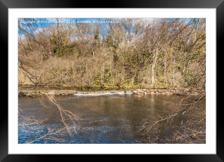 Early spring on the River Tees at Whorlton Framed Mounted Print by Richard Laidler