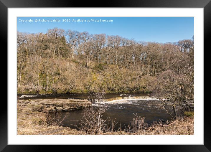 A River Tees cascade at Whorlton in Spring Sun Framed Mounted Print by Richard Laidler