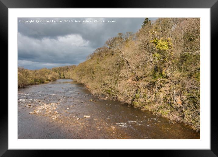 The River Tees at Whorlton in Early Spring Framed Mounted Print by Richard Laidler