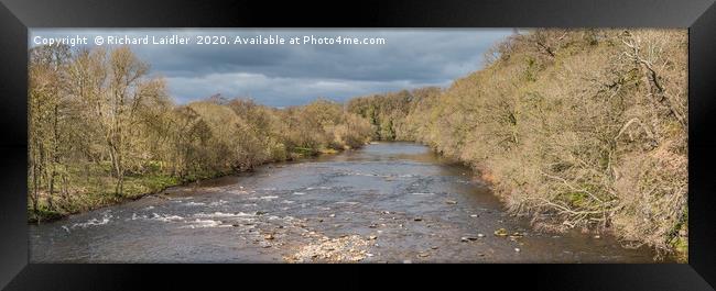 The River Tees at Whorlton Early Spring Panorama Framed Print by Richard Laidler