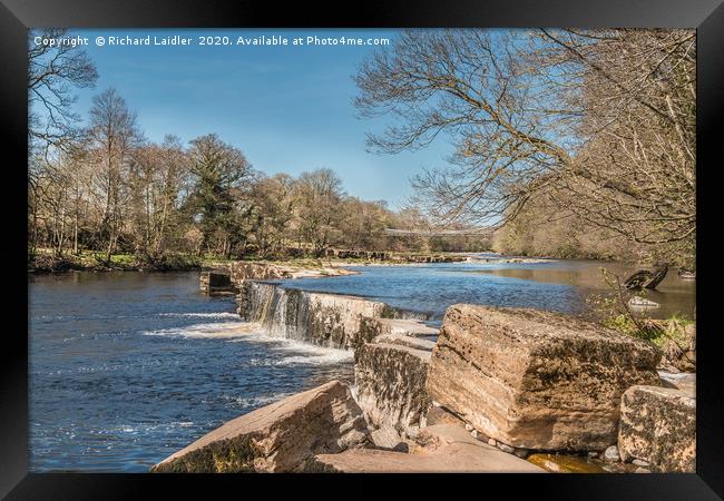 The River Tees at Whorlton, Teesdale in Spring Framed Print by Richard Laidler