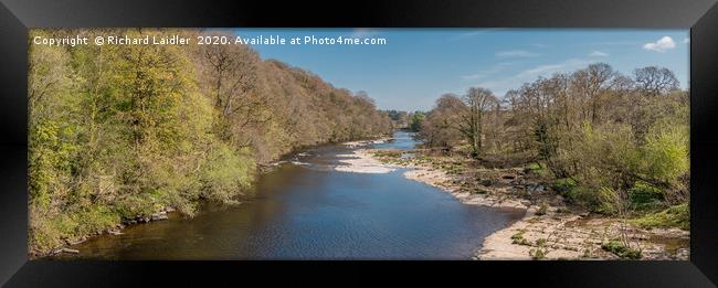 The River Tees at Downstream at Whorlton in Spring Framed Print by Richard Laidler