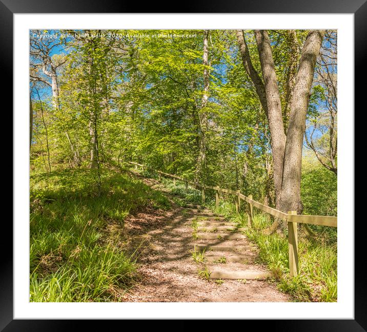 Stairway Through The Woods in Spring Framed Mounted Print by Richard Laidler