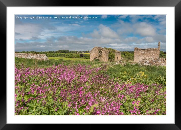 Ruined Barns and Red Campion Framed Mounted Print by Richard Laidler