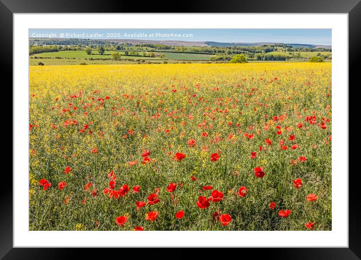 Over Poppies and Rape towards The Stang Framed Mounted Print by Richard Laidler
