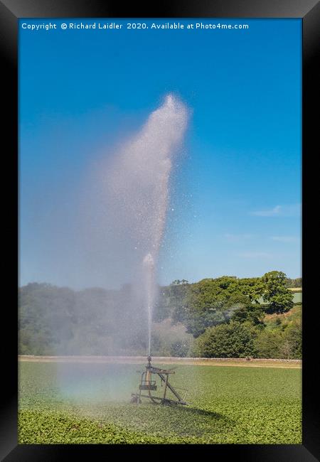 Watering the Spuds Framed Print by Richard Laidler