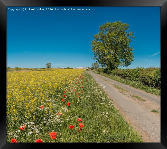 Towards Van Farm, Teesdale in Spring Framed Print by Richard Laidler