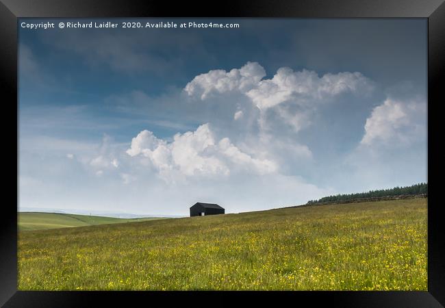 Barnstormin' Framed Print by Richard Laidler