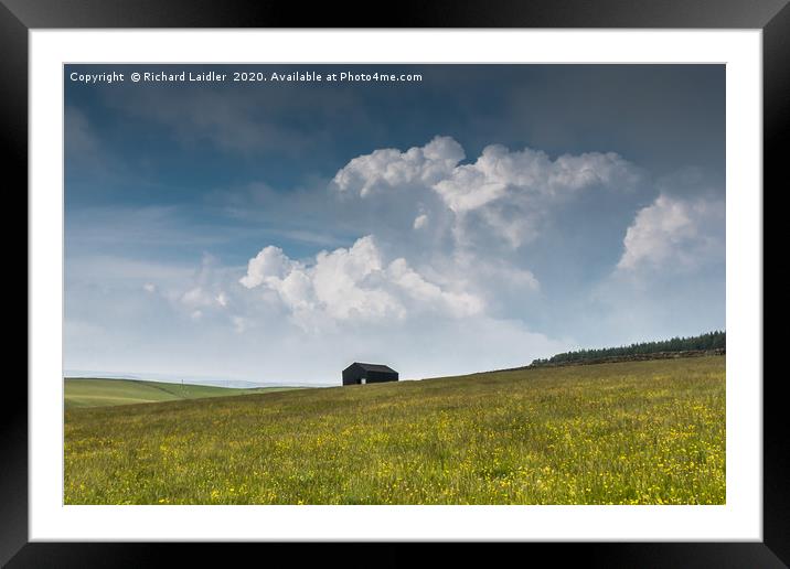 Barnstormin' Framed Mounted Print by Richard Laidler