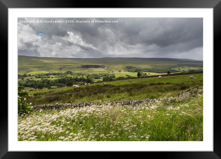 Crossthwaite and Park End Quarries, Teesdale Framed Mounted Print by Richard Laidler