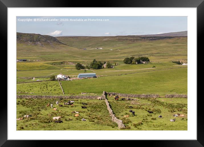 Upper Teesdale in Summer (2) Framed Mounted Print by Richard Laidler