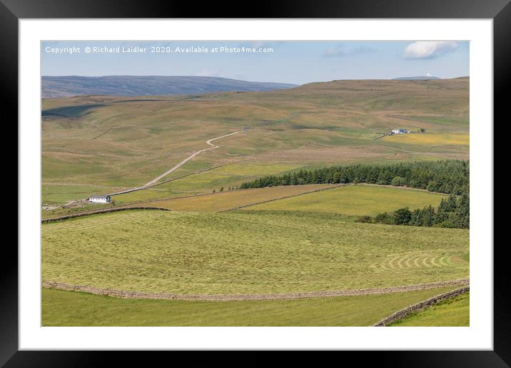 Upper Teesdale in Summer (3) Framed Mounted Print by Richard Laidler