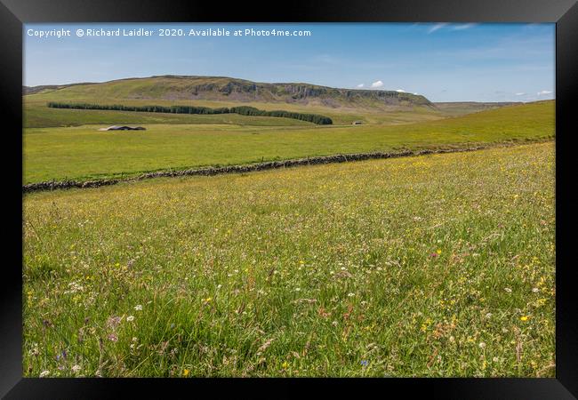  Wild Flower Meadow at Birk Rigg , Teesdale Framed Print by Richard Laidler
