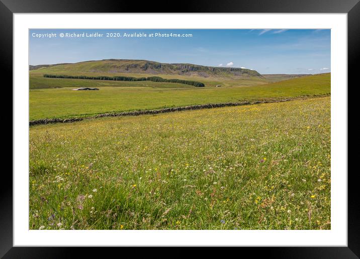  Wild Flower Meadow at Birk Rigg , Teesdale Framed Mounted Print by Richard Laidler