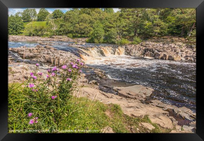 Low Force Waterfall, Teesdale in Summer (2) Framed Print by Richard Laidler