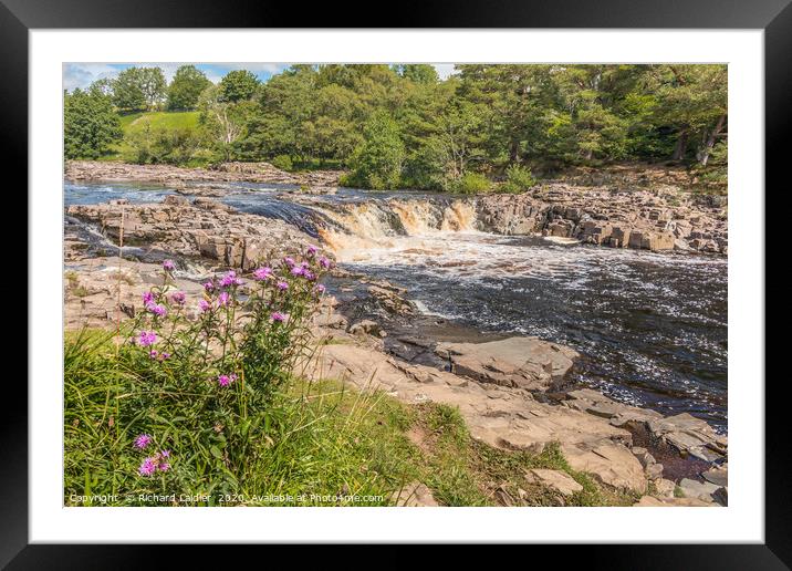 Low Force Waterfall, Teesdale in Summer (2) Framed Mounted Print by Richard Laidler
